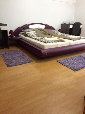  City Bridge Guest House  Бихач